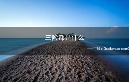 三险都是什么