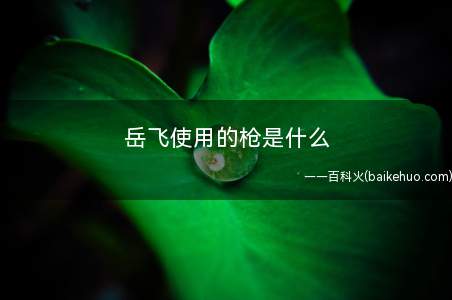 岳飞使用的枪是什么