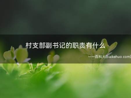 村支部副书记的职责有什么