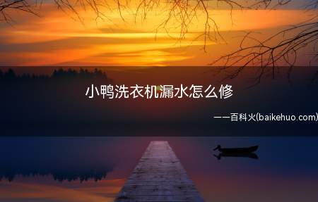 小鸭洗衣机漏水怎么修