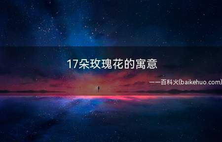 17朵玫瑰花的寓意