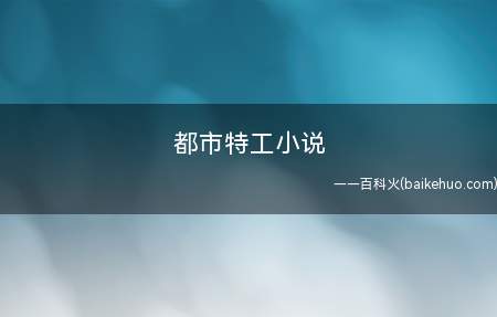 都市特工小说