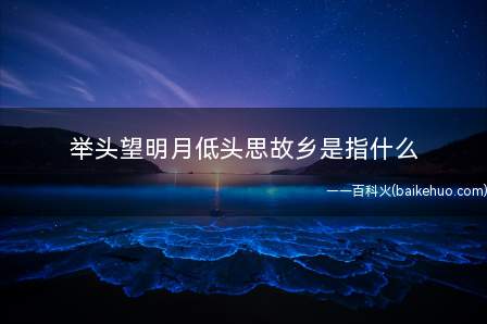 举头望明月低头思故乡是指什么