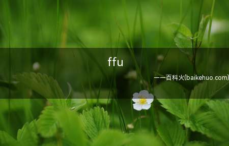 ffu是什么意思