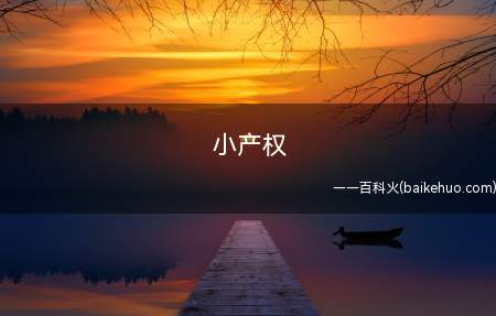 小产权是什么意思