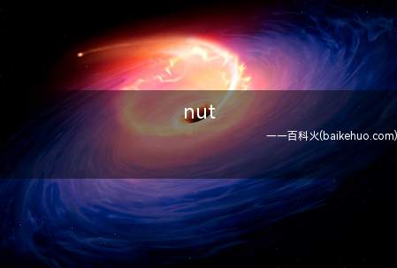 nut是什么意思