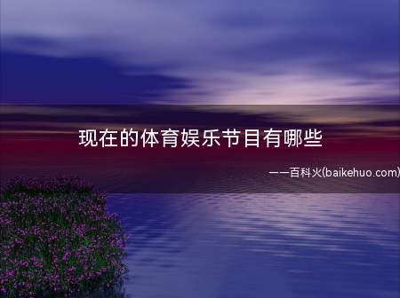 现在的体育娱乐节目有哪些