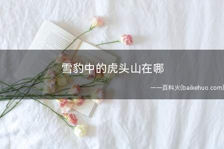 雪豹中的虎头山在哪