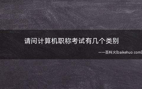 请问计算机职称考试有几个类别