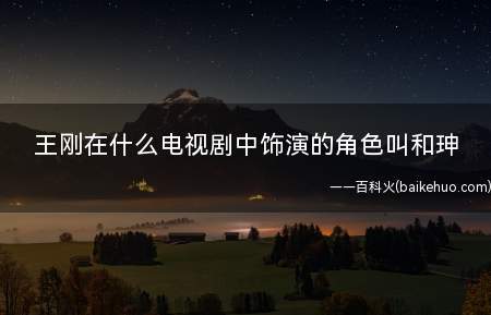 王刚在什么电视剧中饰演的角色叫和珅