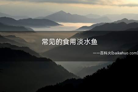常见的食用淡水鱼