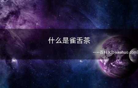 什么是雀舌茶