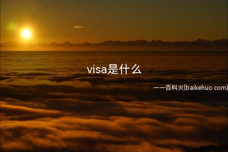 visa是什么