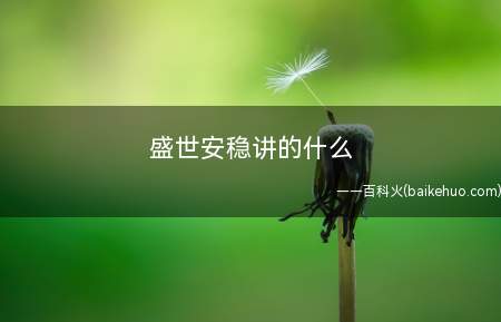 盛世安稳讲的什么