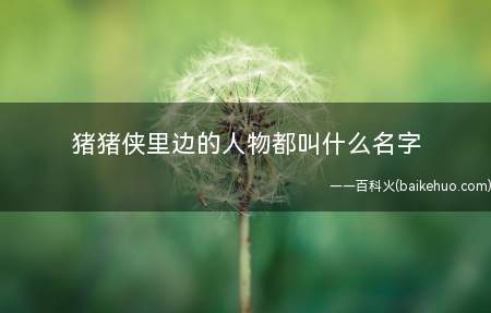 猪猪侠里边的人物都叫什么名字