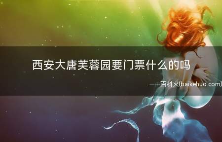 西安大唐芙蓉园要门票什么的吗