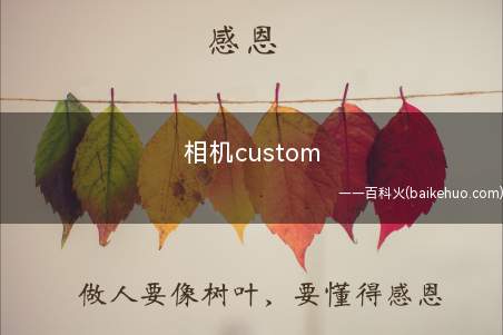 相机custom是什么意思