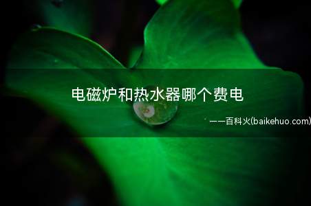 电磁炉和热水器哪个费电