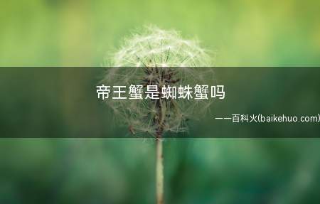 帝王蟹是蜘蛛蟹吗