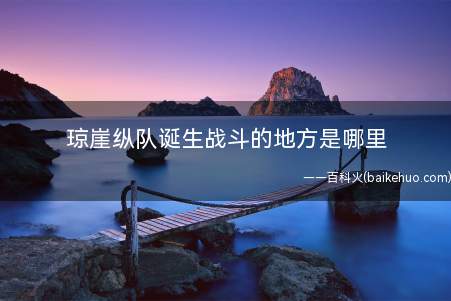 琼崖纵队诞生战斗的地方是哪里