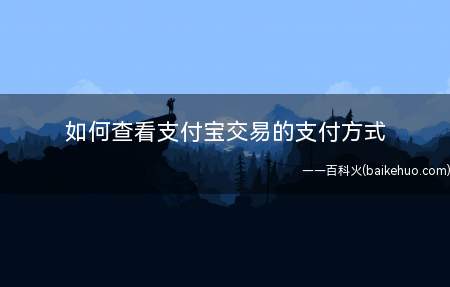 如何查看支付宝交易的支付方式