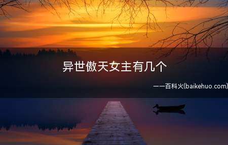 异世傲天女主有几个