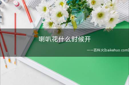 喇叭花什么时候开