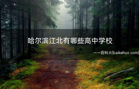 哈尔滨江北有哪些高中学校