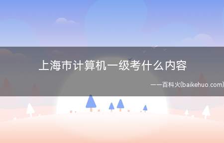 上海市计算机一级考什么内容
