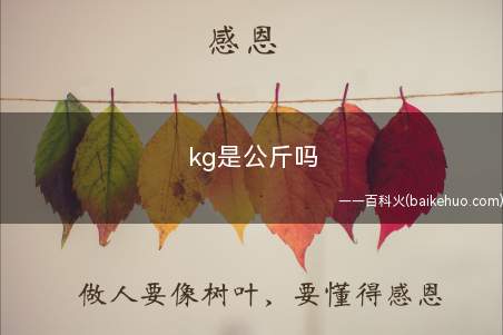 kg是公斤吗