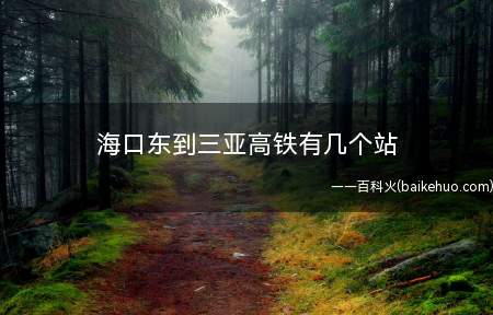 海口东到三亚高铁有几个站