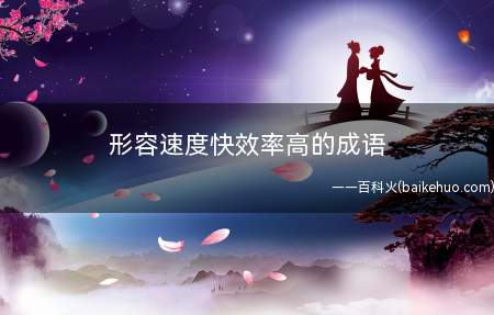 形容速度快效率高的成语