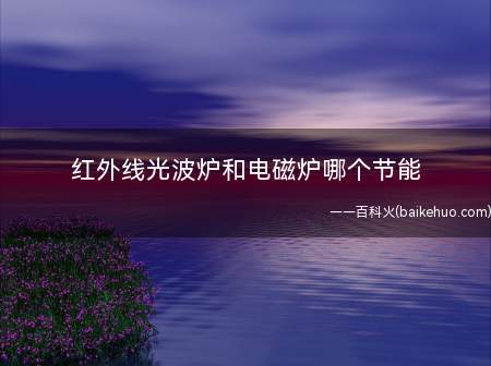 红外线光波炉和电磁炉哪个节能