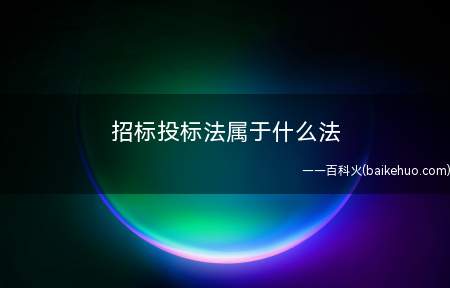 招标投标法属于什么法