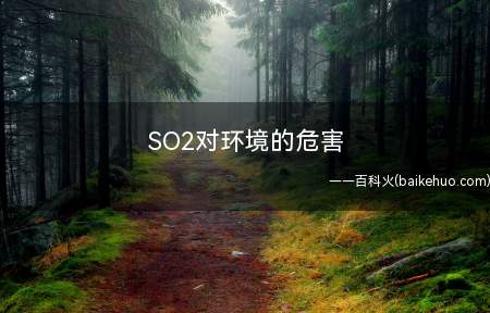 SO2对环境的危害