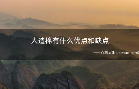 人造棉有什么优点和缺点