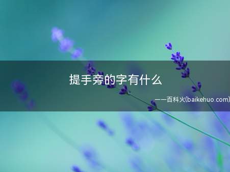 提手旁的字有什么