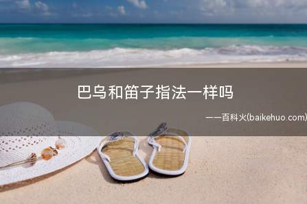 巴乌和笛子指法一样吗