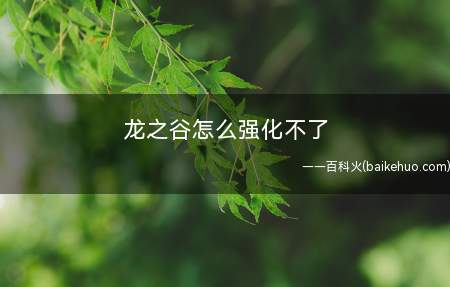 龙之谷怎么强化不了