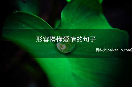 形容懵懂爱情的句子