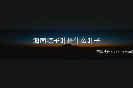 海南粽子叶是什么叶子