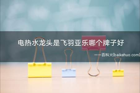 电热水龙头是飞羽亚乐哪个牌子好