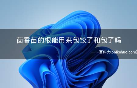 茴香苗的根能用来包饺子和包子吗