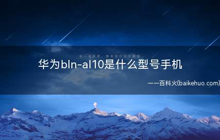华为bln-al10是什么型号手机