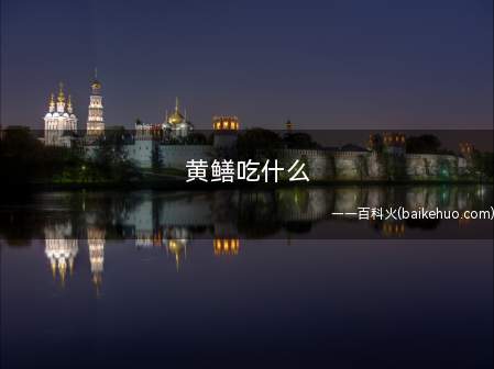 黄鳝吃什么