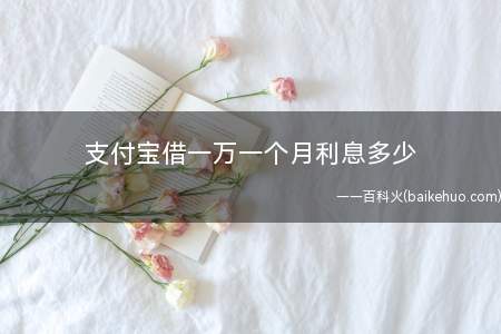 支付宝借一万一个月利息多少