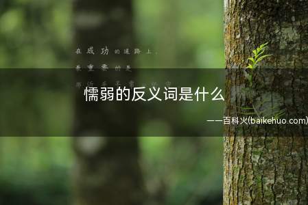 懦弱的反义词是什么