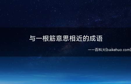 与一根筋意思相近的成语