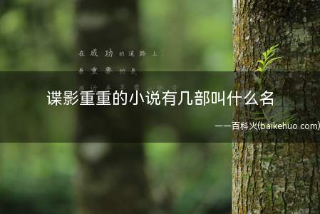 谍影重重的小说有几部叫什么名