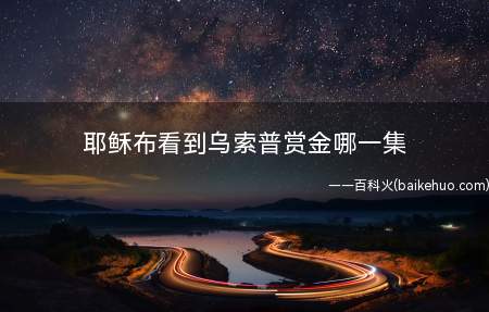 耶稣布看到乌索普赏金哪一集